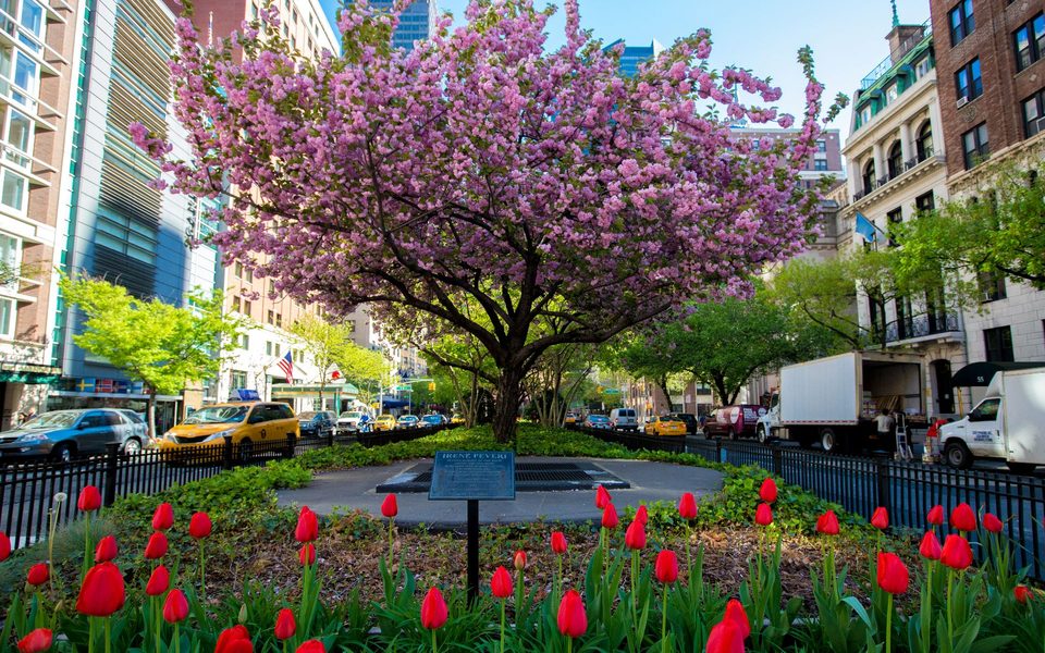 Upper East Side, Manhattan